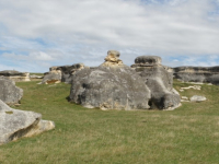 dsc052611553527698
