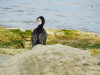 dsc05379290809936