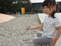 dsc05431731013682