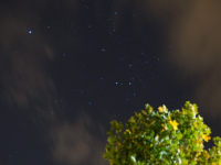 dsc054521770082760