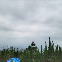 20230120_094258-012605277376669854667-scaled