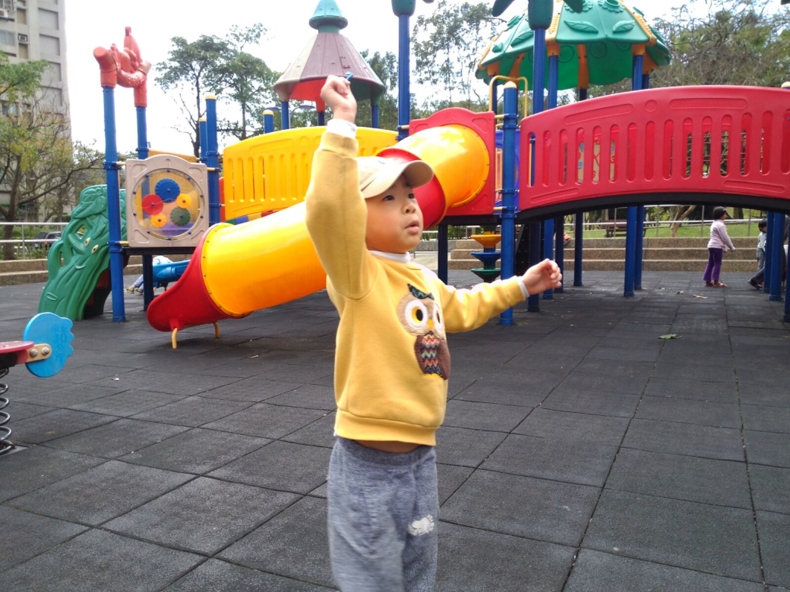 P_20140223_123956.jpg image