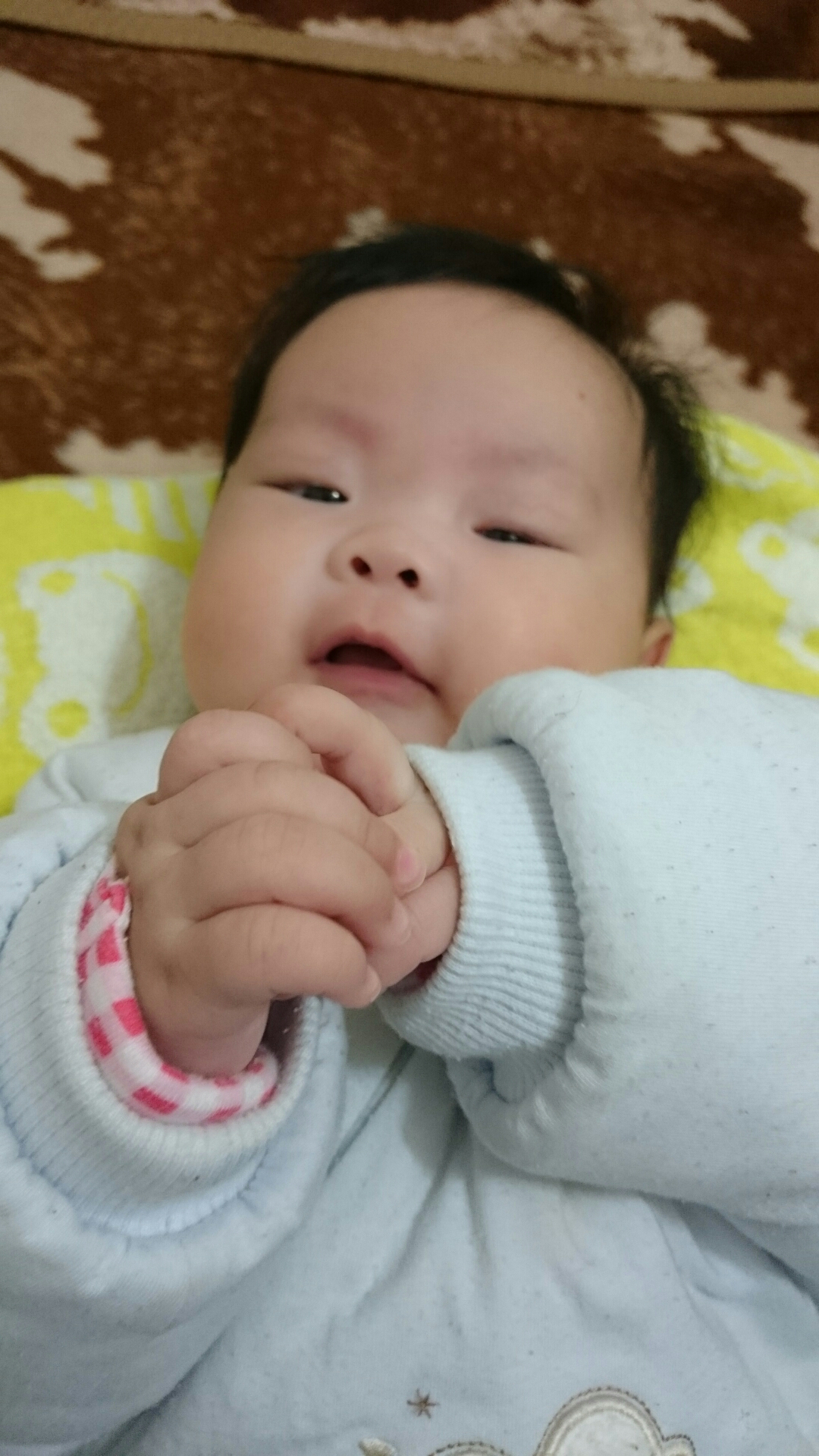 wp-1420860953439 image