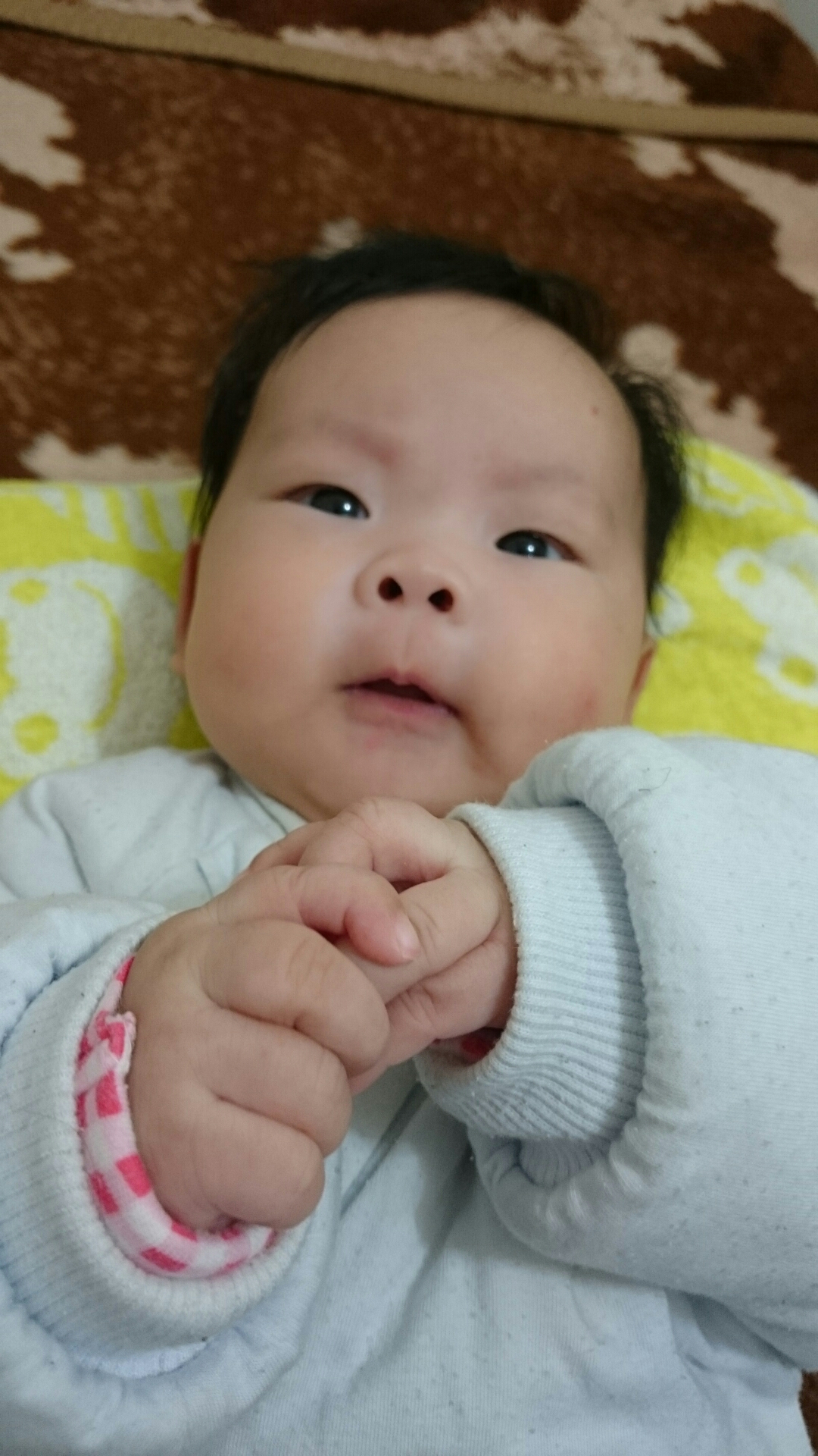 wp-1420860966347 image