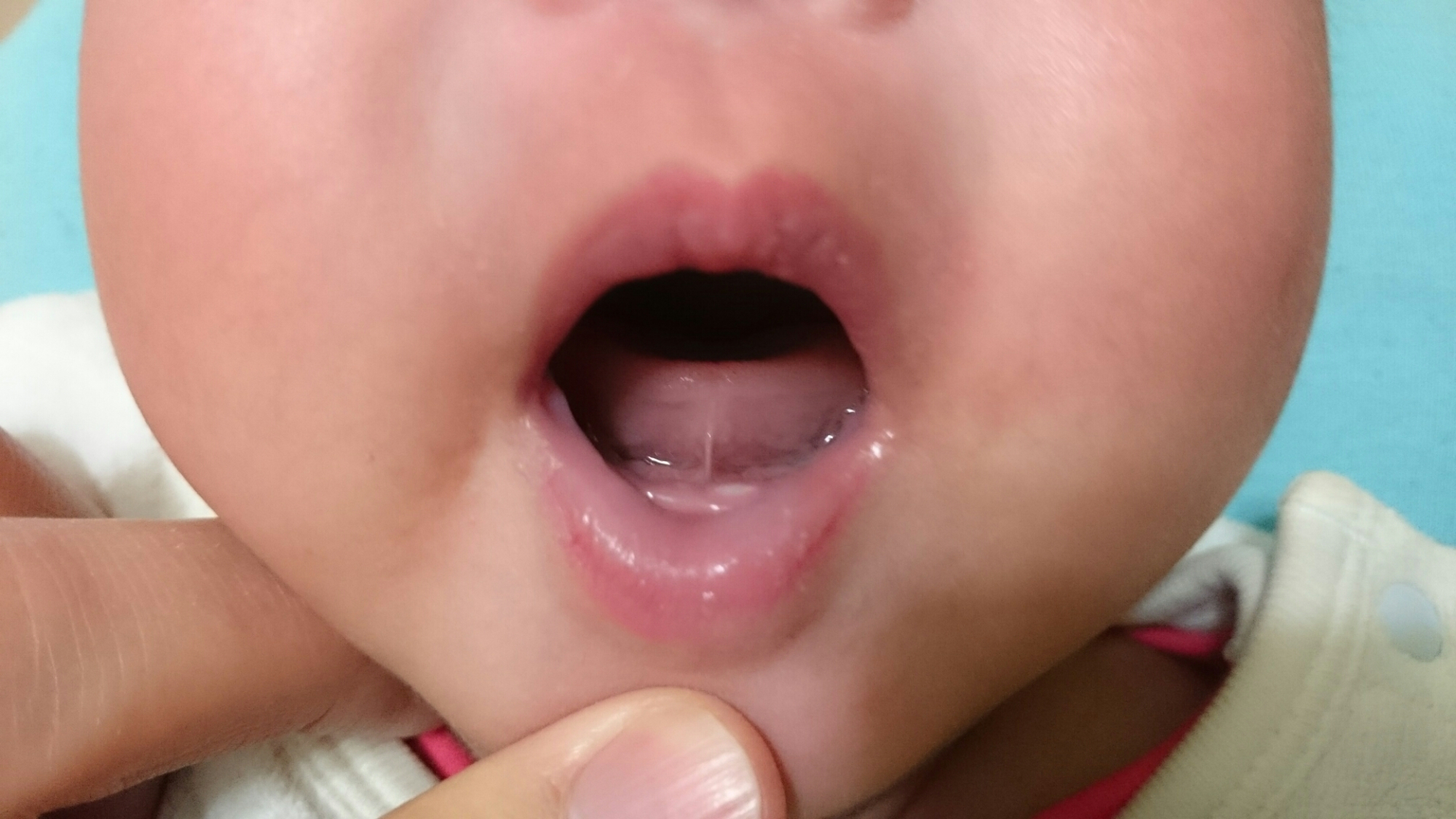 wp-1422193235119 image