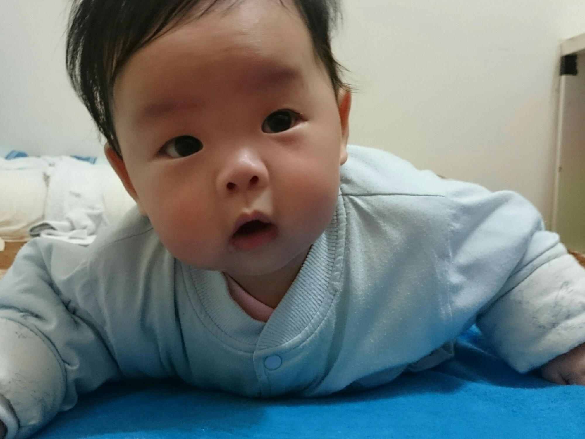 wp-1422795263281 image