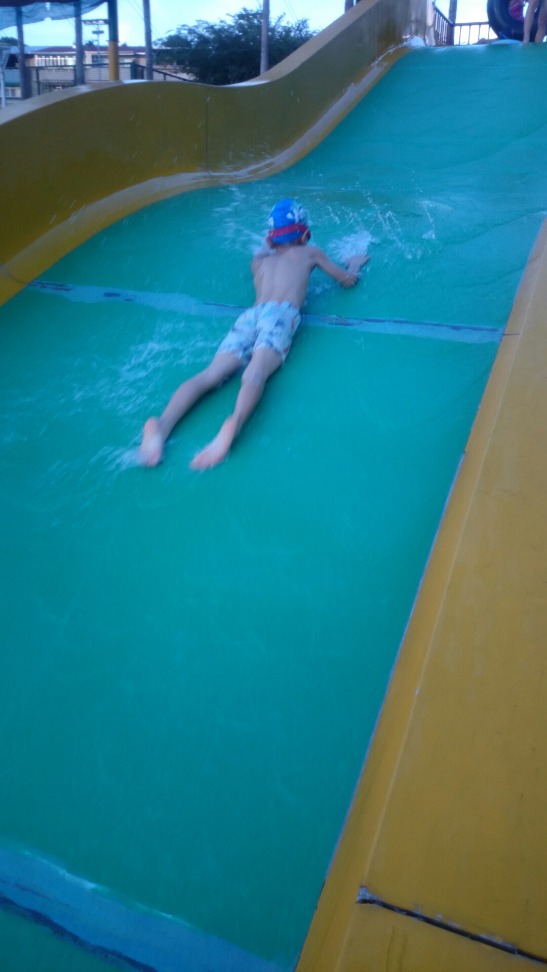 DSC_000002~19.JPG image